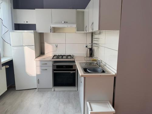 Bydgoszcz Apartamento | Apartament Leśne