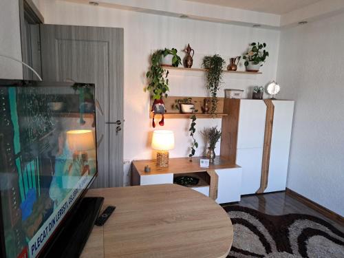 Medias Apartamento | Apartament Medias Metanului