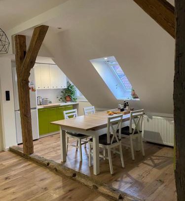 Szczecinek Apartamento | Apartament Ordona 9 - widok na jezioro i park