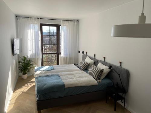 Chodziez Apartamento | APARTAMENT OVOC 2.0