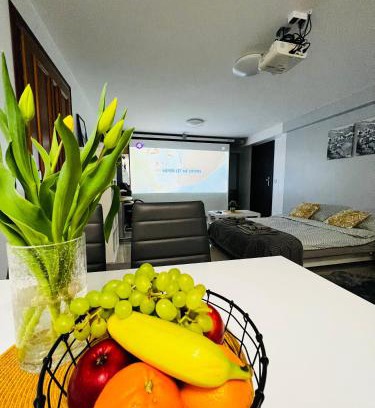 Pietrzykowice Apartamento | Apartament PLAY