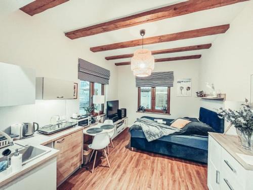 Stawiguda Apartamento | Apartament pod brzozami -Tomaszkowo