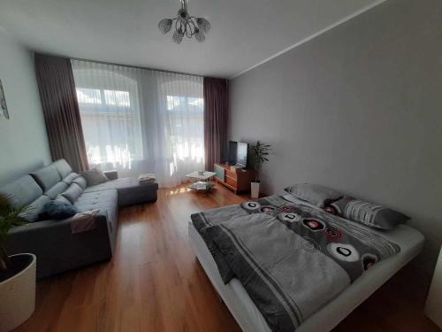 Dabki Apartamento | Apartament pod Dębem
