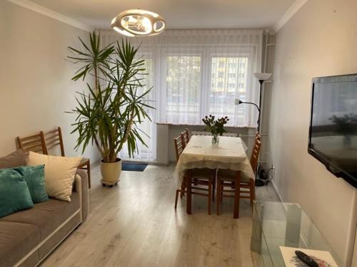 Gorzow Wielkopolski Apartamento | Apartament Przy Katedrze
