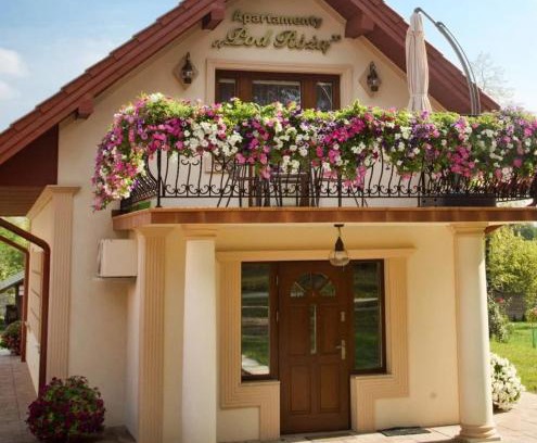 Solec-Zdroj Apartamento | Apartament Róża