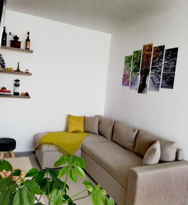 Toplita Apartamento | Apartament Raluca
