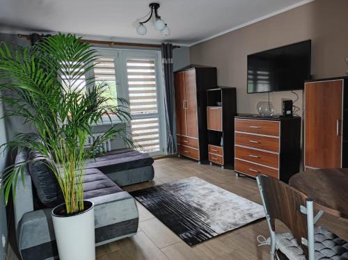 Walbrzych Apartamento | Apartament Raven