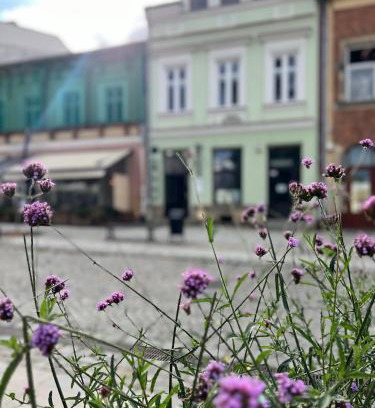 Krosno Apartamento | Apartament Rynek 17