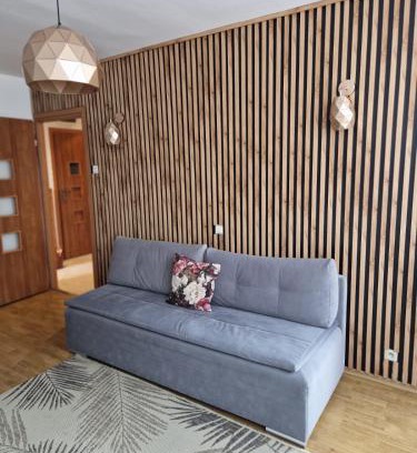 Duszniki Zdroj Apartamento | Apartament słoneczny