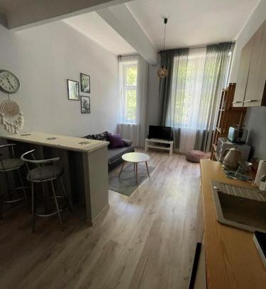 Jedlina-Zdroj Apartamento | Apartament Snooze