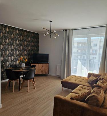 Grudziadz Apartamento | Apartament Staromiejski Rapackiego 45
