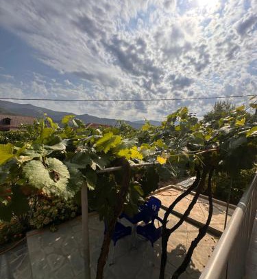 Permet Apartamento | Apartament Teuta