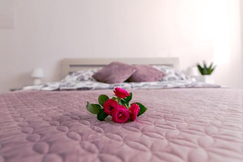 Polanica-Zdroj Apartamento | Apartament u Andrzeja