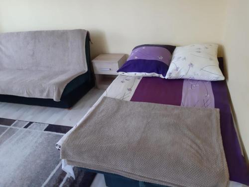 Wyspa Sobieszewska Apartamento | Apartament u Basi