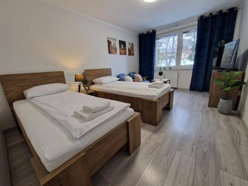 Sanok Apartamento | Apartament w Śródmieściu