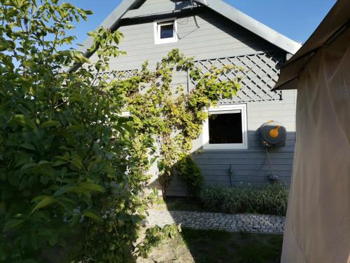 Wolin Apartamento | Apartament Wolin nad wodą koło Miedzyzrdrojów