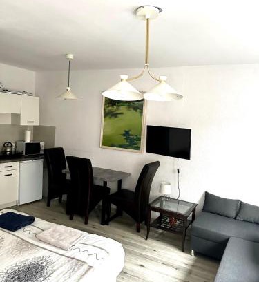 Kalisz Apartamento | Apartament Wygodny S2