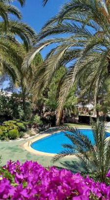 Pedreguer Apartamento | Apartamento Buganvilla Pool