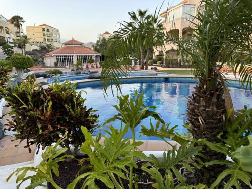 San Miguel de Abona Apartamento | Apartamento en Golf del Sur con piscina