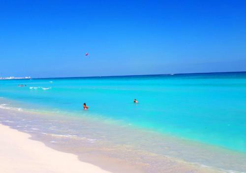 Alfredo V. Bonfil Apartamento | Apartamento Frente a la Playa Cancun Mexico