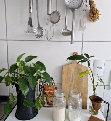 Vargem do Bom Jesus Apartamento | Apartamento inteiro
