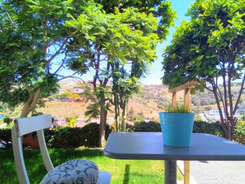 Santa Brígida Apartamento | APARTAMENTO LEMMON TREE