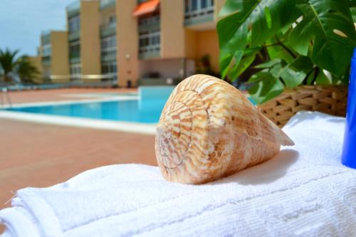 Candelaria Apartamento | Apartamento Moana Beach