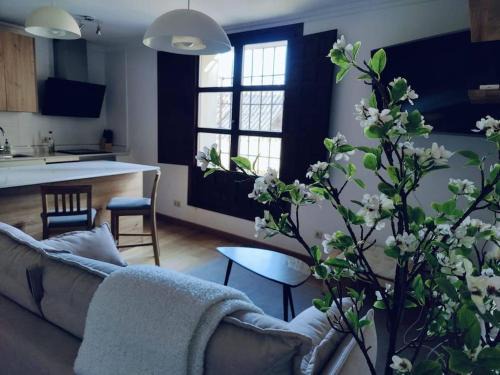 Pastrana Apartamento | Apartamento Palacio de los Burgo