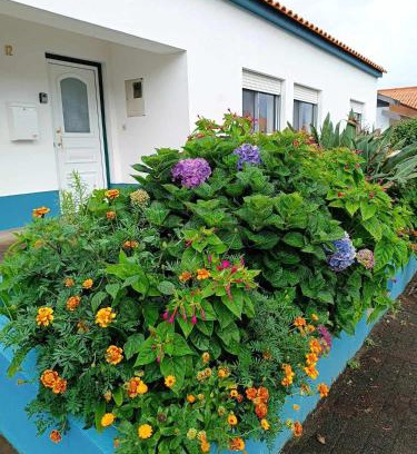 Santa Cruz das Flores Apartamento | Apartamento da Matilde