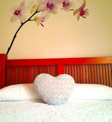 Centro histórico Apartamento | Apartamento turístico Amantes