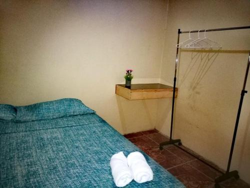 Quepos Apartamento | Apartamentos Morpho CR 2