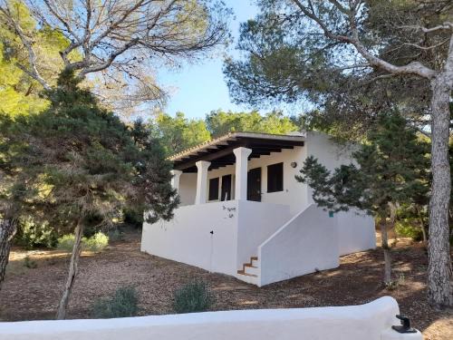 Calo de Sant Agusti Apartamento | Apartamentos Noray