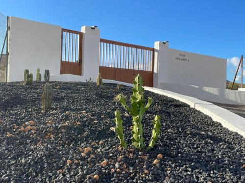 Tuineje Apartamento | Apartamentos Violante