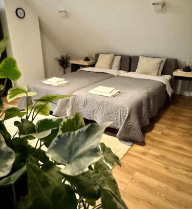 Szczawno-Zdroj Apartamento | Apartamenty Astor - Księżycowy