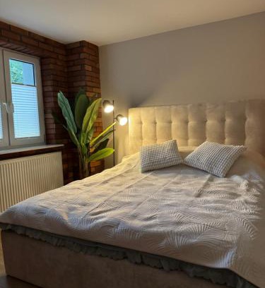 Elblag Apartamento | Apartamenty przy parku