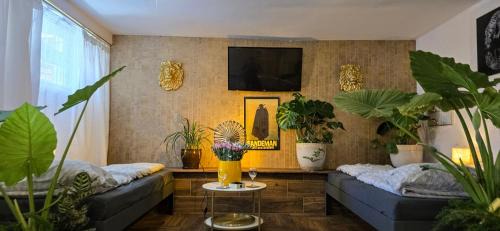 Radom Apartamento | Apartamenty z Duszą