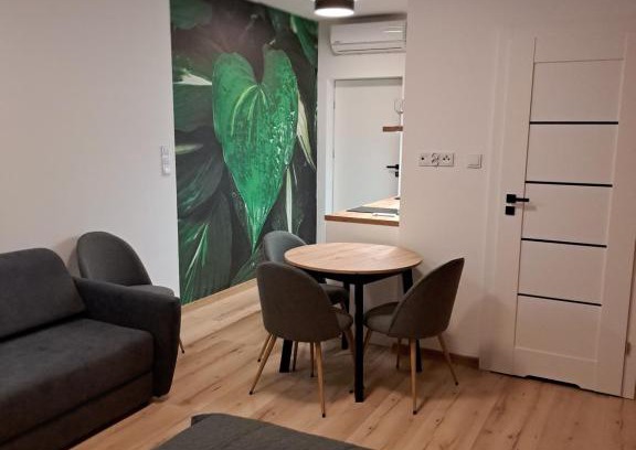 Ciechocinek Apartamento | Apartamenty Zielony Liść