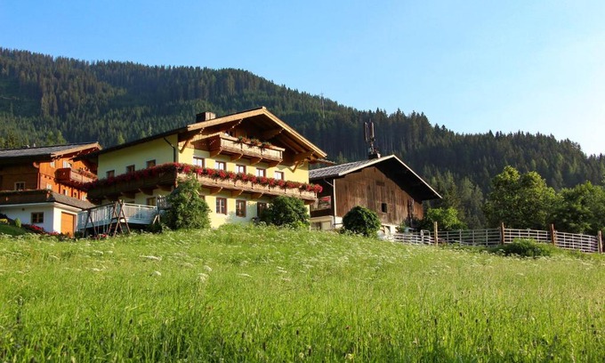 Filzmoos Apartamento | Apartements Richlegghof