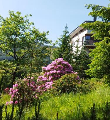 Spindleruv Mlyn Apartamento | Apartmán 3K Michael