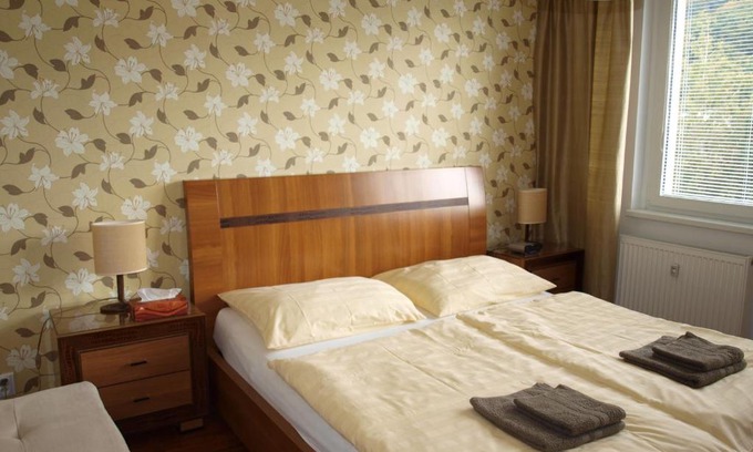 Karlovy Vary Apartamento | Apartmán Drahovice