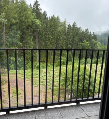 Cerny Dul Apartamento | Apartmán Iris