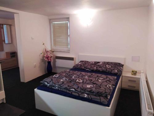 Zabreh Apartamento | Apartmán na Rybářské