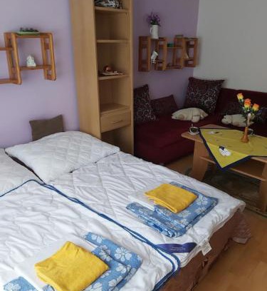 Tatranska Strba Apartamento | Apartmán Palenica