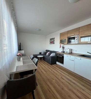 Cerna V Posumavi Apartamento | Apartmán Roda2 Malé Lipno