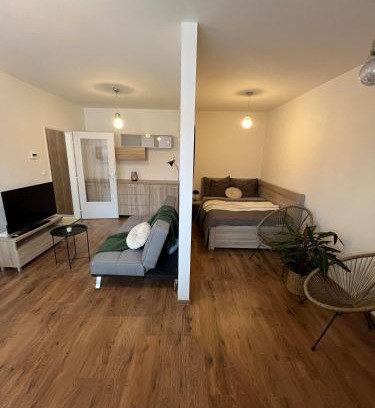 Piestany Apartamento | Apartmán Rose