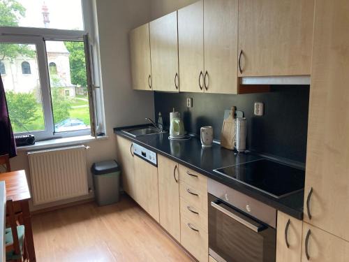 Rudnik u Vrchlabi Apartamento | Apartmán Ski & Bike U Myšáka