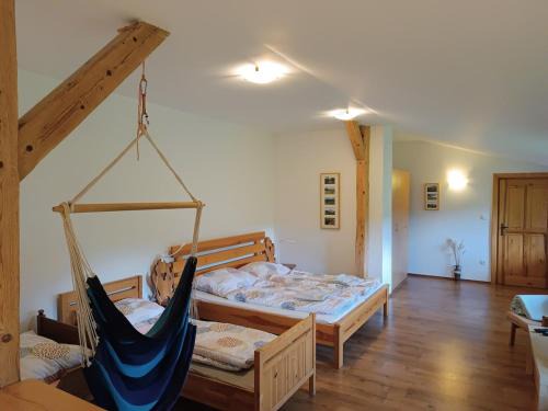 Teplice nad Metuji Apartamento | Apartmán Teplice nad Metují