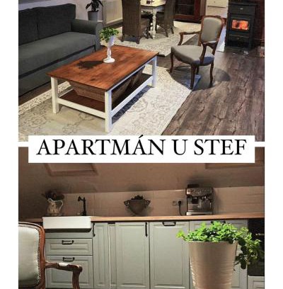 Borotice Apartamento | Apartmán u Stef
