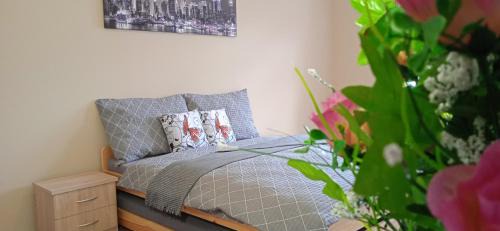 Ledec nad Sazavou Apartamento | Apartmány Ledeč