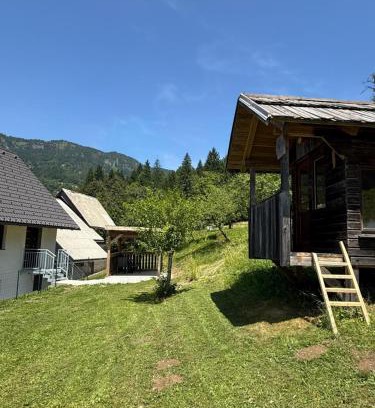 Bohinj Apartamento | Apartma Klemenc